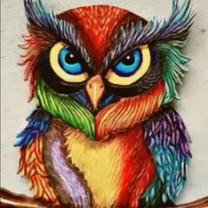 Meet your Posher, Jeanene